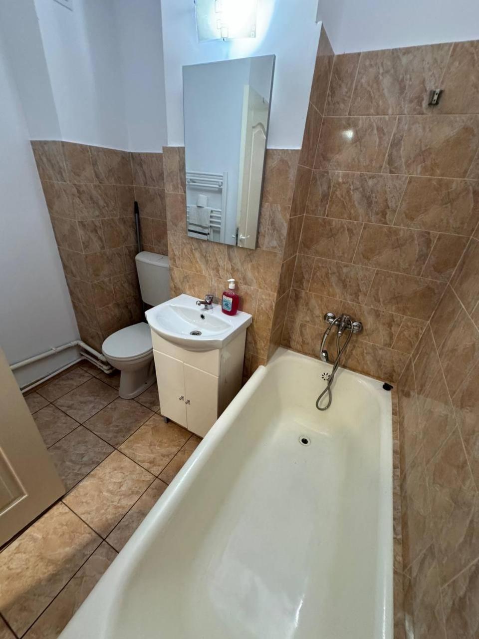Affordable Apartment Close To The Castle Hunedoara Exterior foto